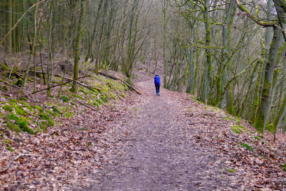 Auf dem Weg zur Wilhelmshöhe.
