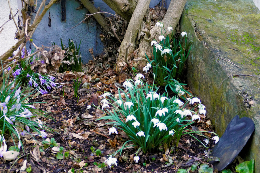Zürück in Briedel.