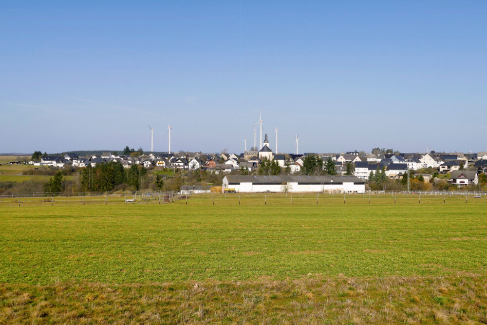 Durch Wiesen wandern wir von Mörsdorf zur Geierlay-Hängebrücke.