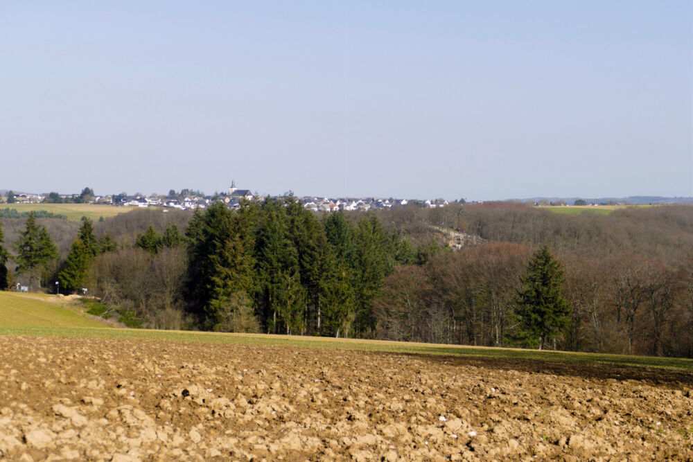 Blick nach Mörsdorf.