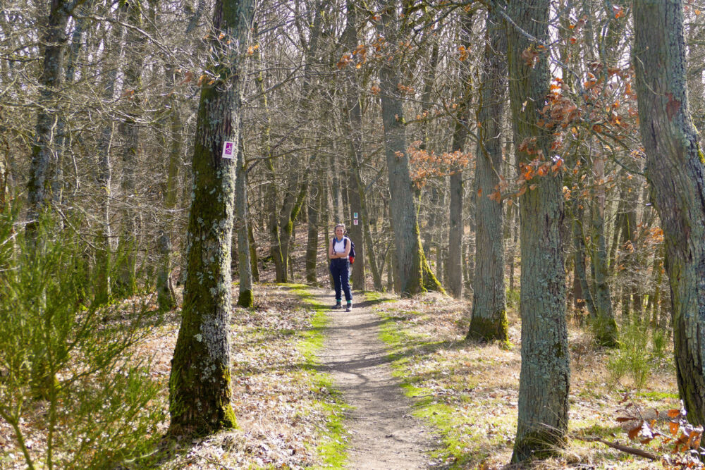 Auf dem Masdascher Burgherrenweg.