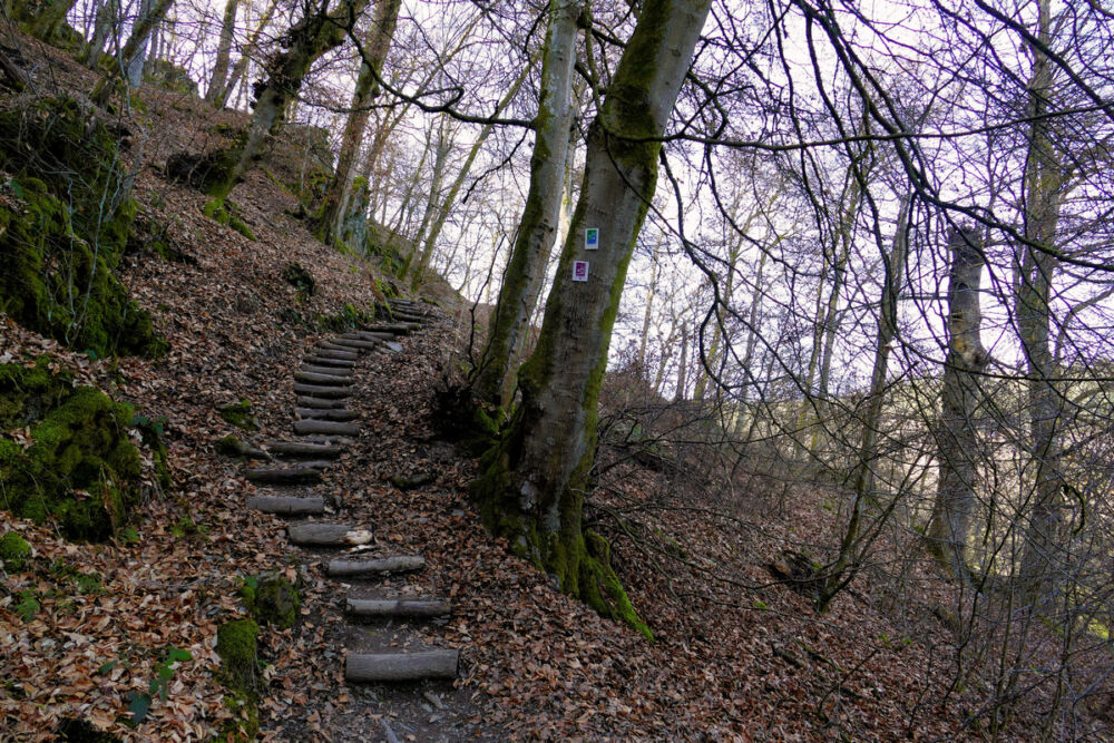 Auf dem Saar-Hunsrück-Steig.