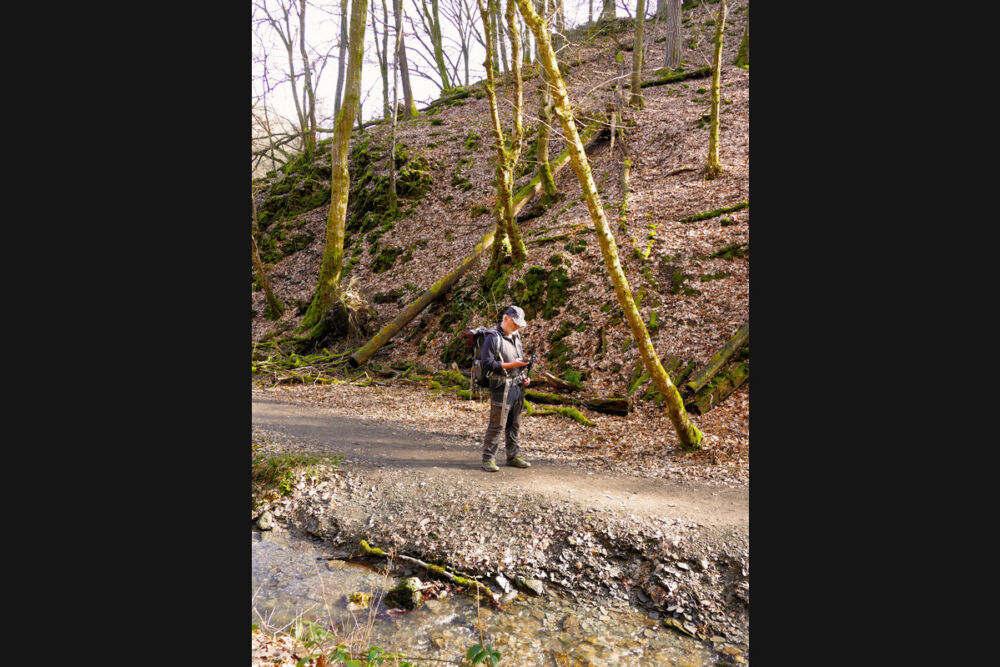 Auf dem Saar-Hunsrück-Steig.