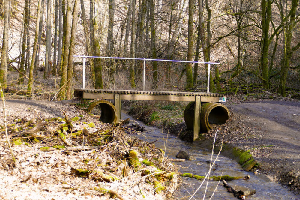 Auf dem Saar-Hunsrück-Steig.