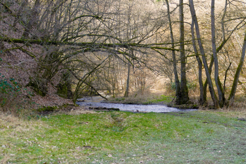 Auf dem Saar-Hunsrück-Steig.