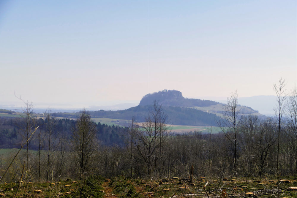 Blick auf den Hohentwiel.