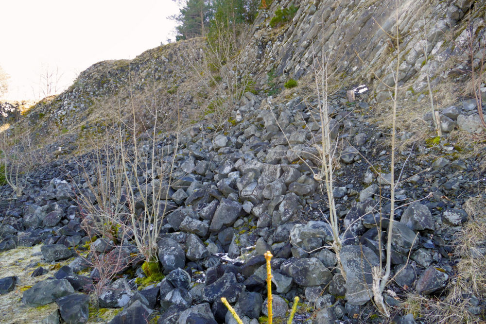 Im Basaltabbruch.