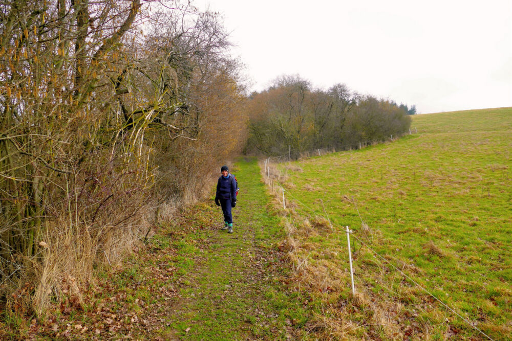 Pfad zum Portal Altstrimmig.