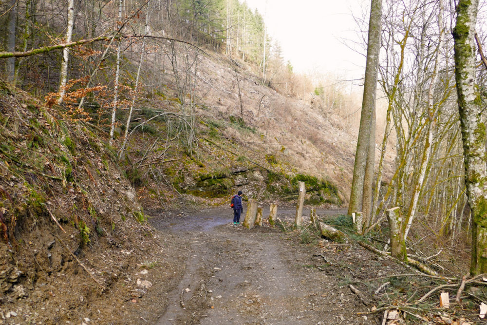 Im Mörsdorfer Bachtal.