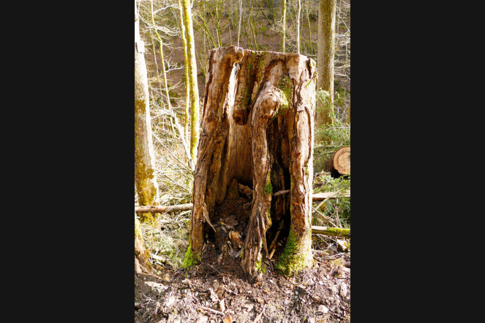 Im Mörsdorfer Bachtal.