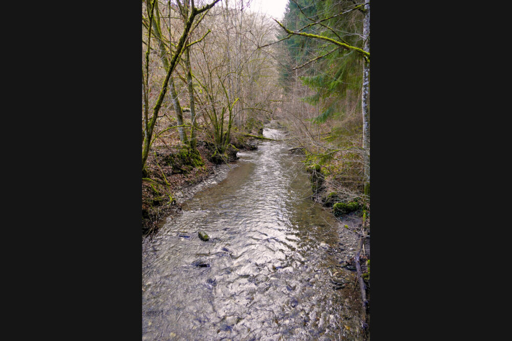 Im Mörsdorfer Bachtal.