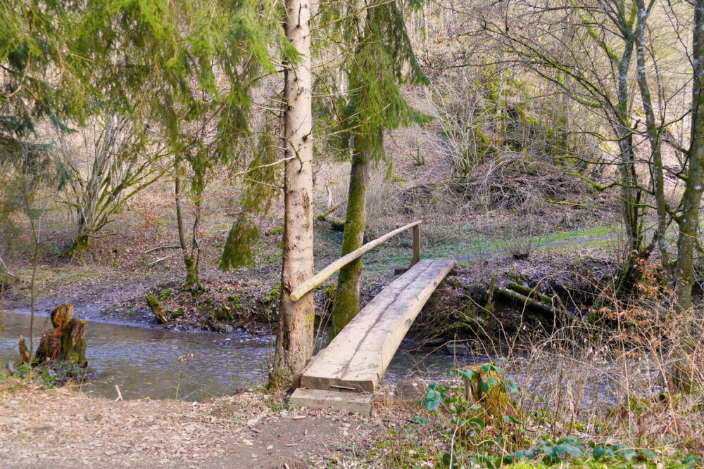 Im Mörsdorfer Bachtal.