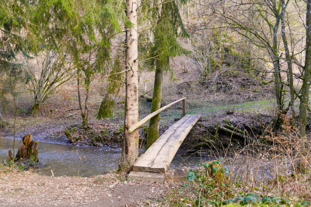 Im Mörsdorfer Bachtal.