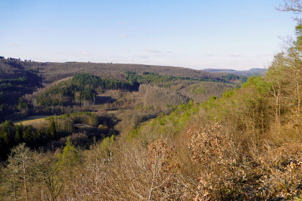 Blick von der Großen Kanzel über den Hunsrück.