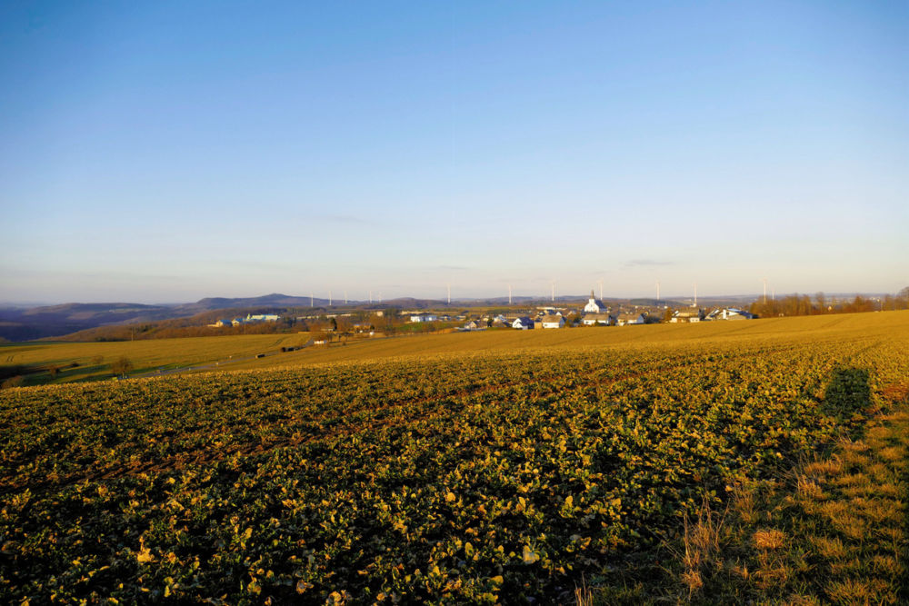 Der Hunsrück in der Abendsonne.
