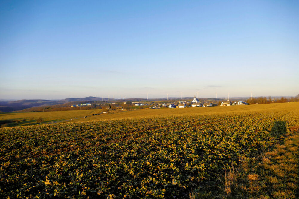 Der Hunsrück in der Abendsonne.