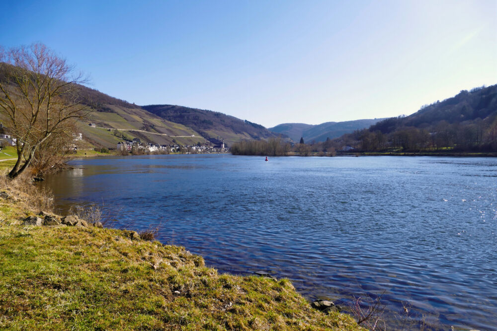 Zell (Mosel).
