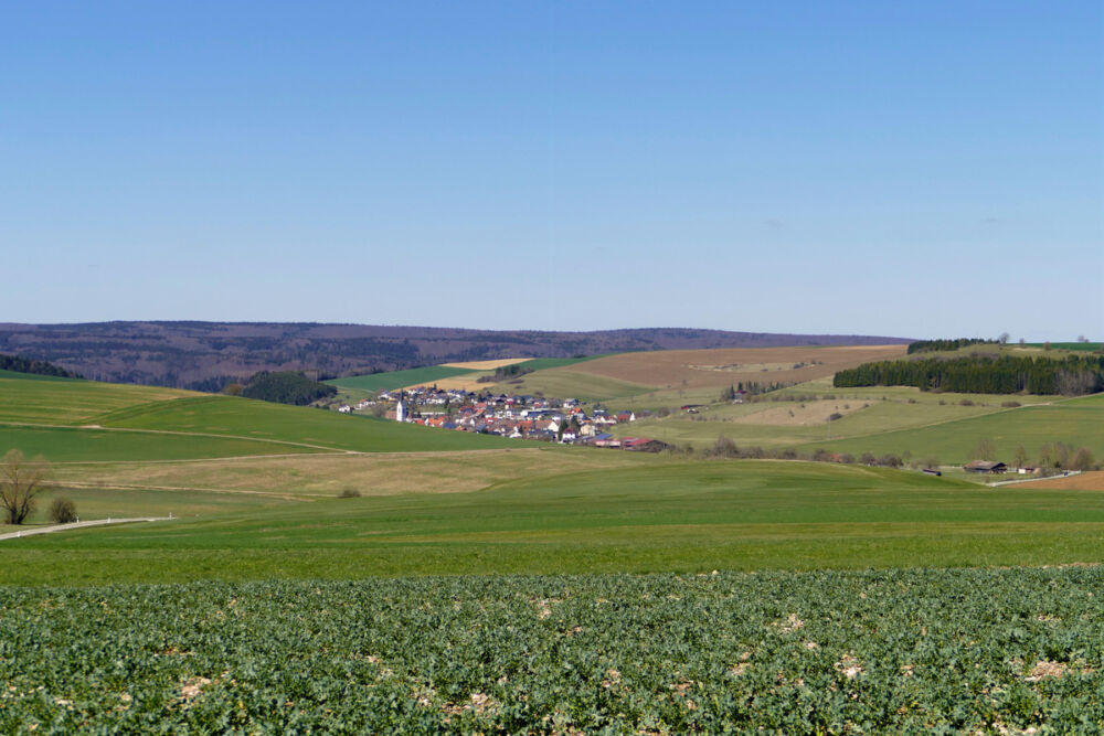 Blick auf Watterdingen.