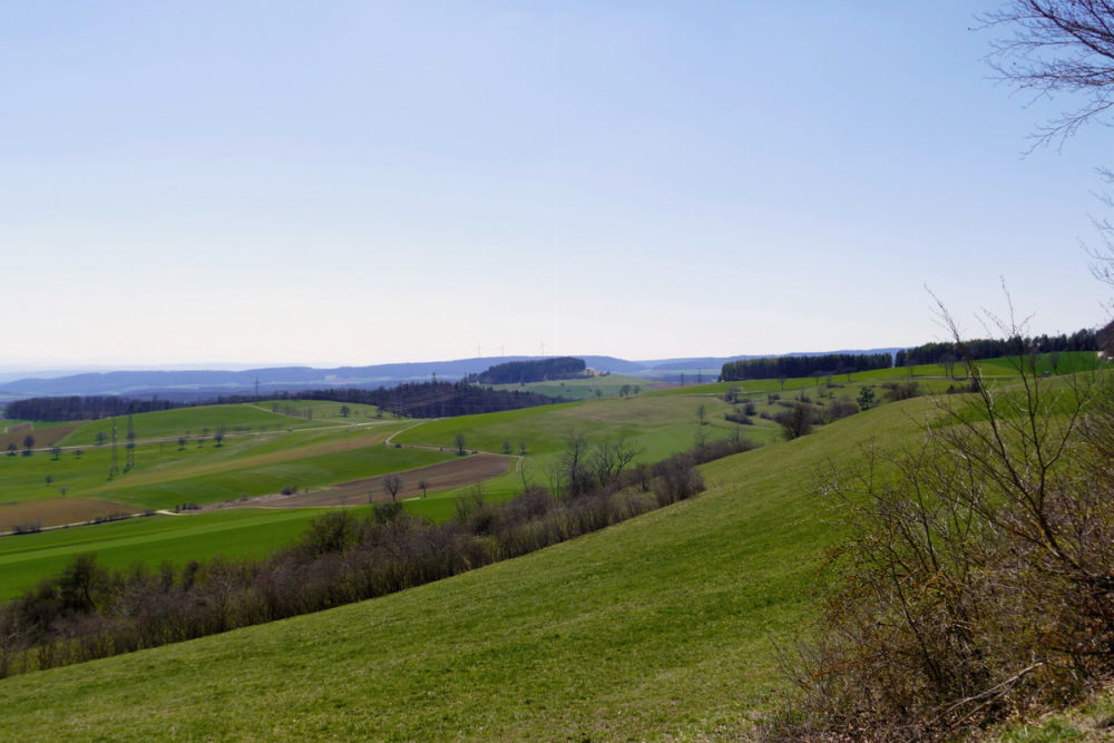 Blick auf den Wannenberg.