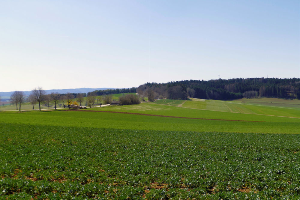 Blick auf den Alten Postweg.