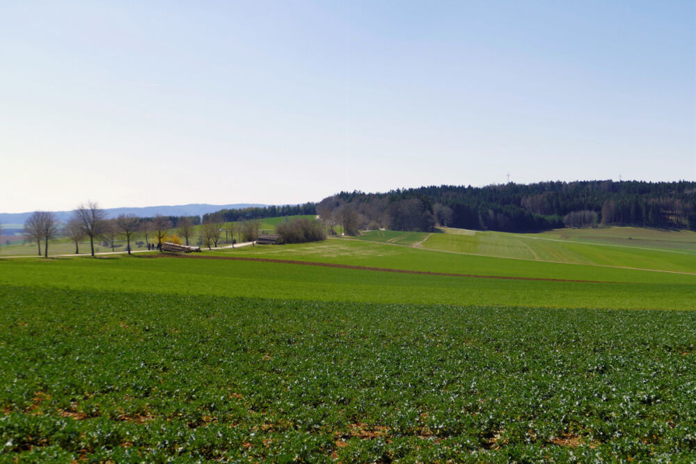 Blick auf den Alten Postweg.