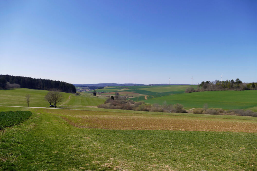 Hegau bei Leipferdingen.