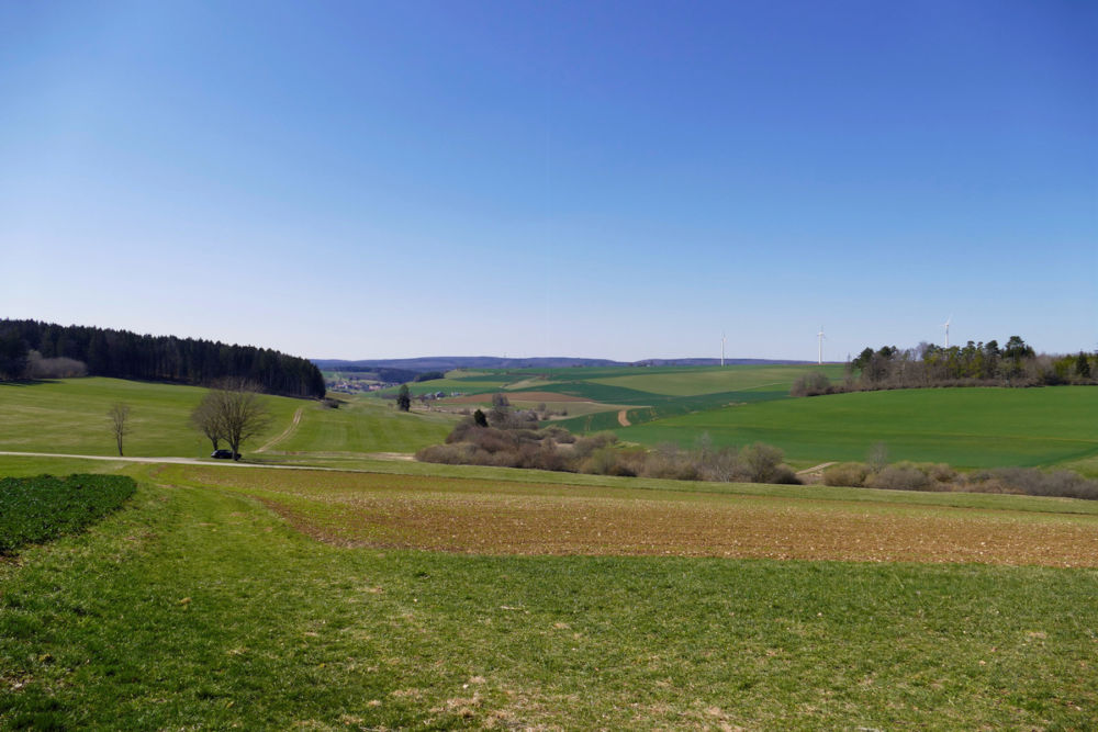 Hegau bei Leipferdingen.