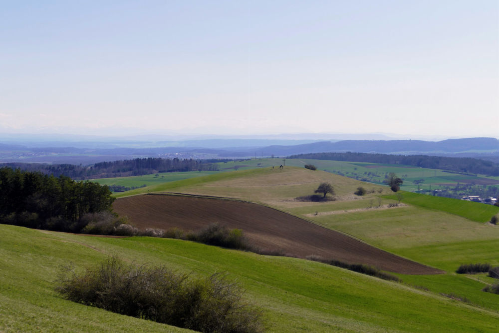 Blick auf den Bisberg.