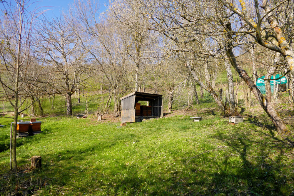 Hier summen die Bienen.