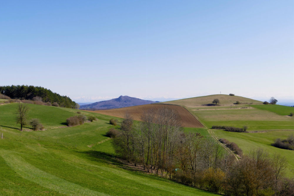 Blick auf den Bisberg.