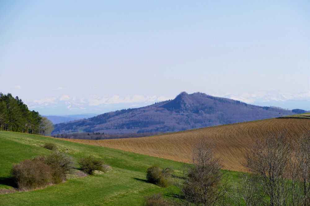 Hinter dem Hohenstoffeln ist die Alpenkette zu sehen.