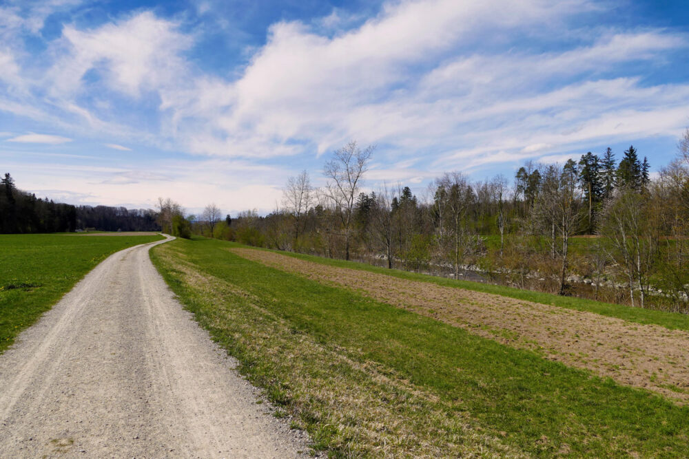 Spazierweg an der Thur entlang.