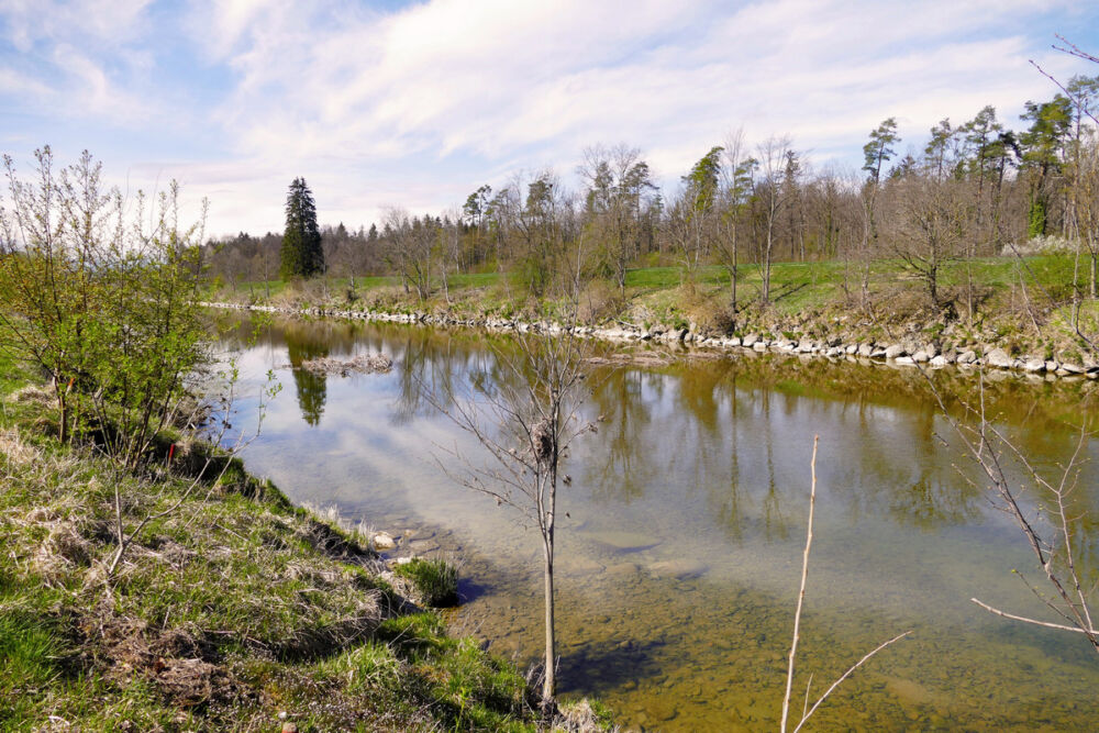 Spazierweg an der Thur entlang.