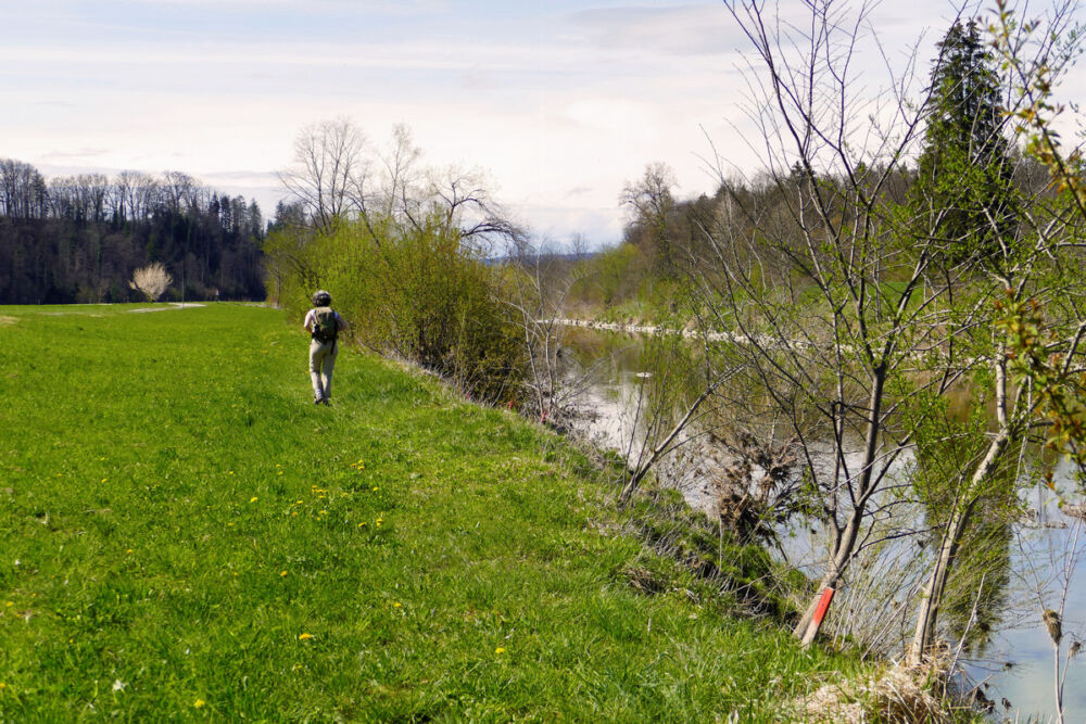 Spazierweg an der Thur entlang.