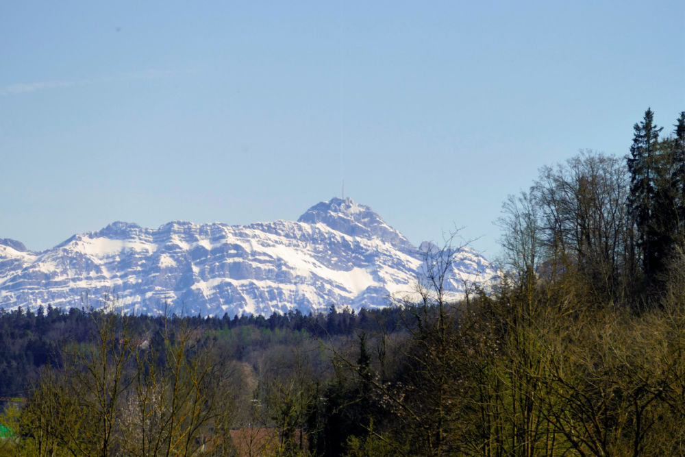 Blick auf den Säntis.