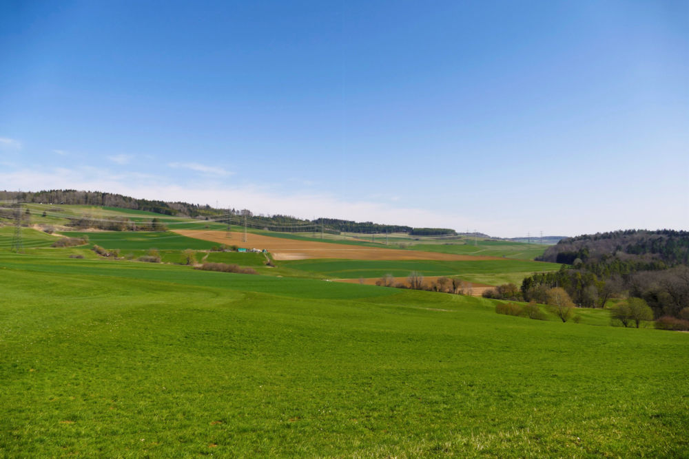 Blick Richtung Alter Postweg.