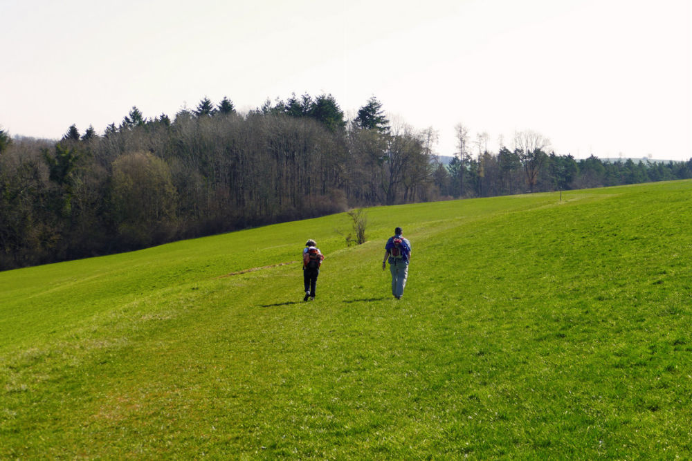 Die Tour führt oft durch Wiesen.