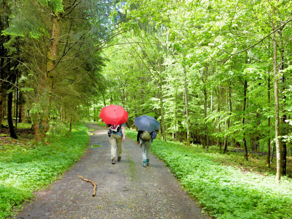 Kurz nieselt es auf dem Weg nach Achberg.