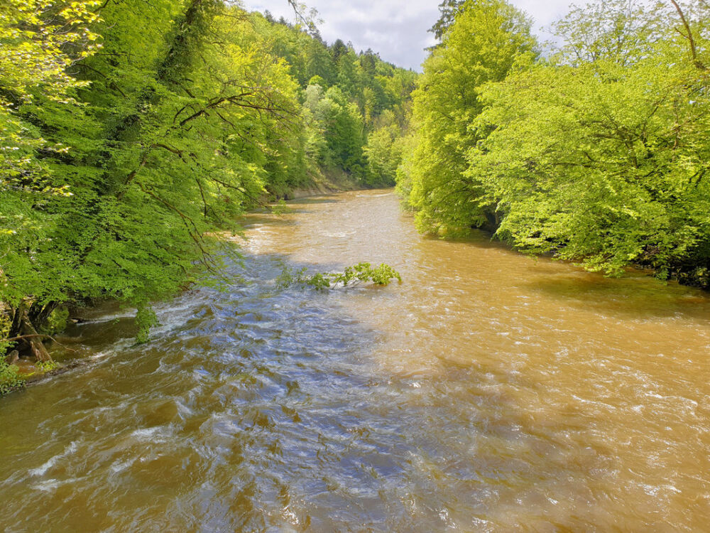 Die Argen beim Flunauer Steg.