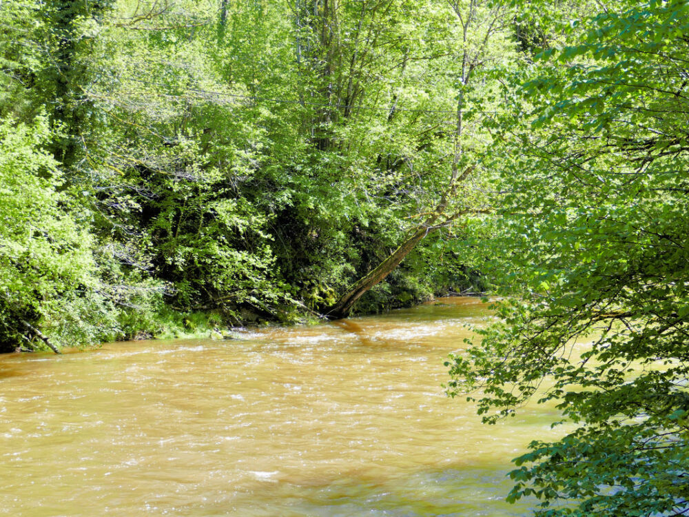 Argenbrücke bei Neukirch.