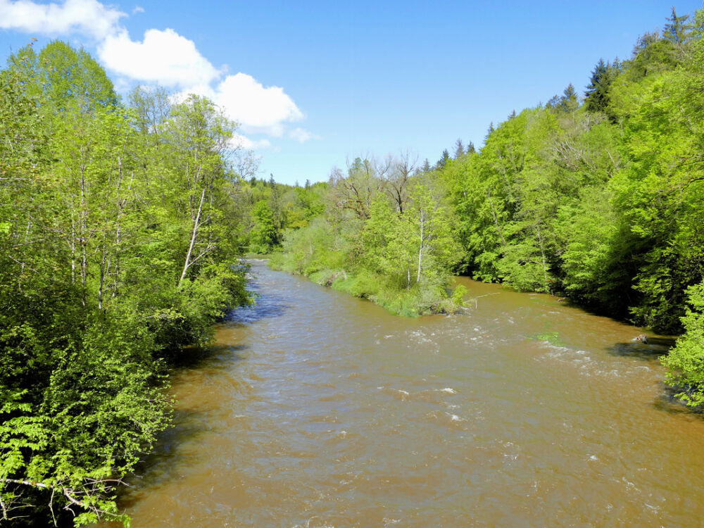 Argenbrücke bei Neukirch.