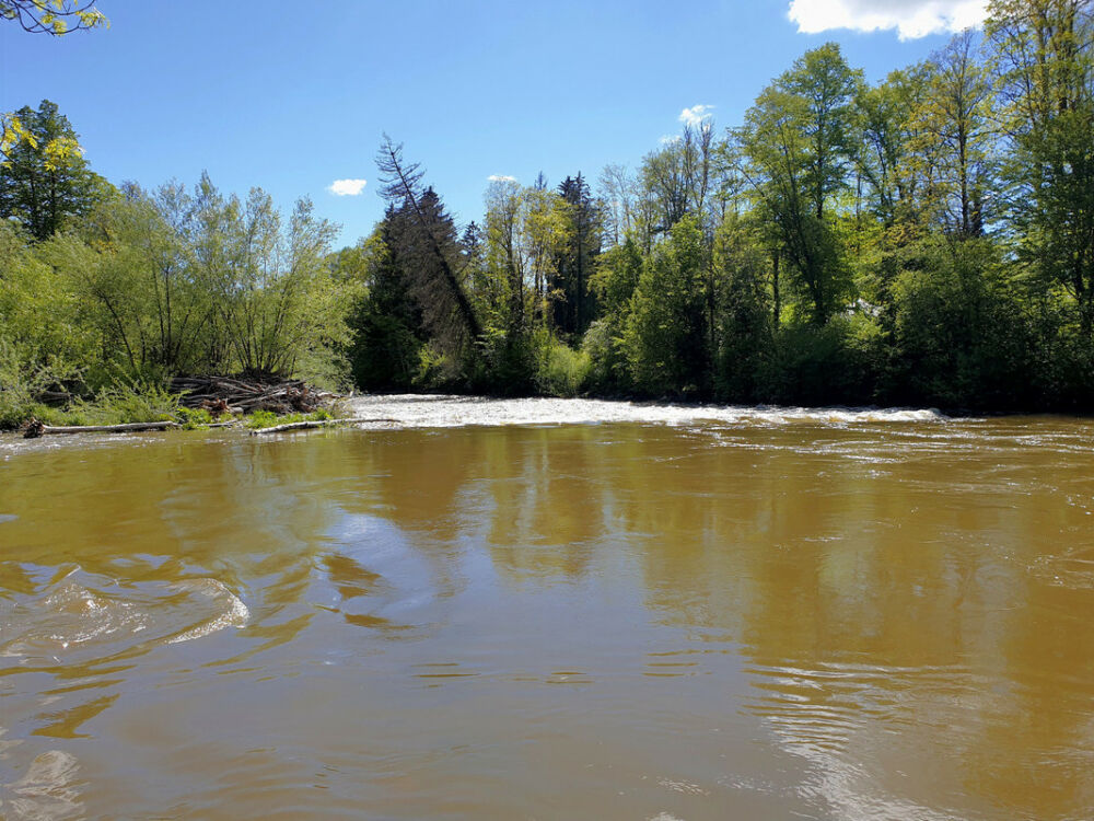 Am Argenzusammenfluss: Blick auf die Argen.