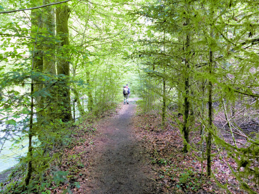 Auf dem Rückweg der Oberen Argen entlang.