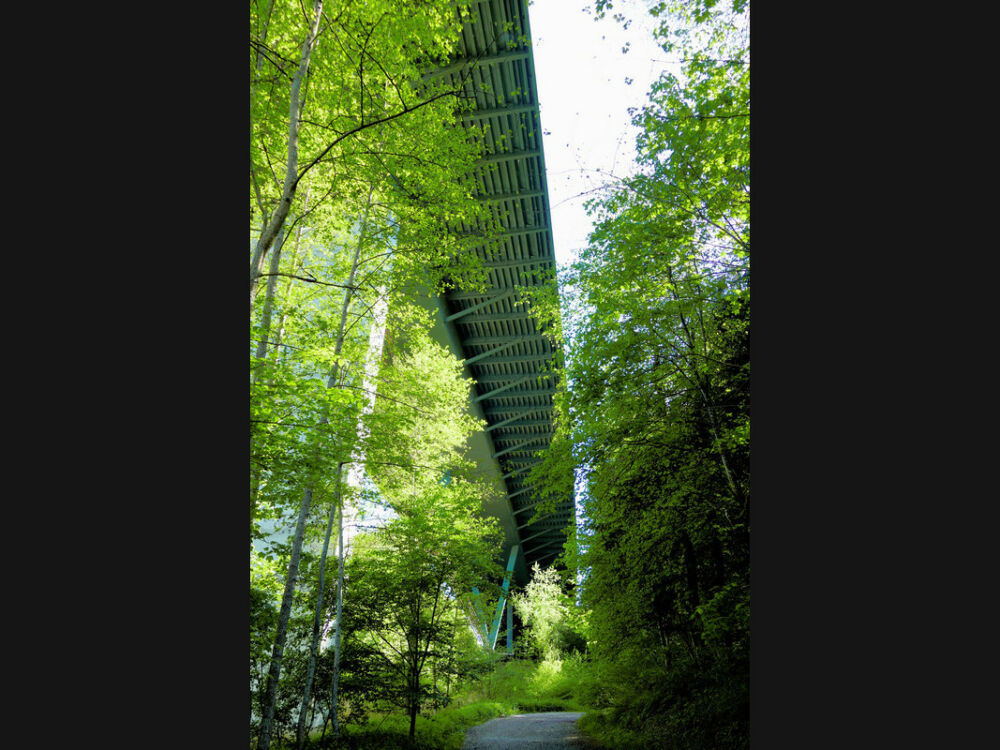 Brückenpfeiler der A96.