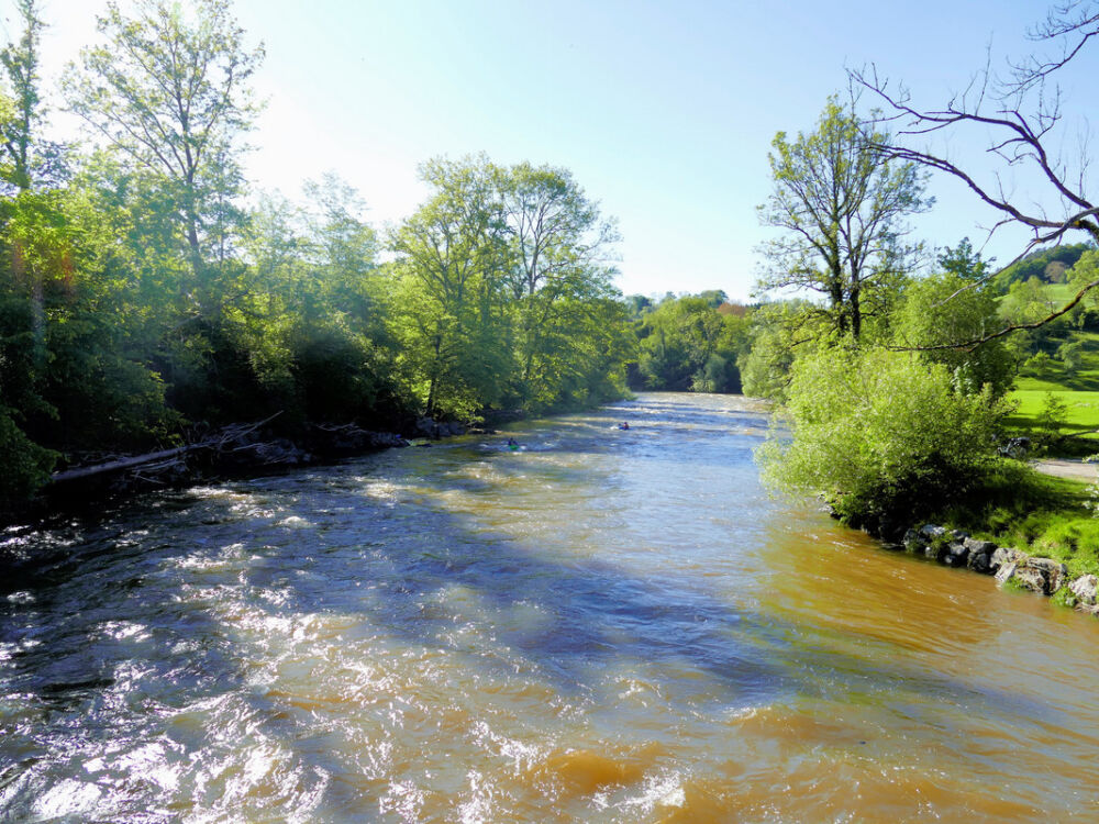 Hängebrücke bei Heggelbach.