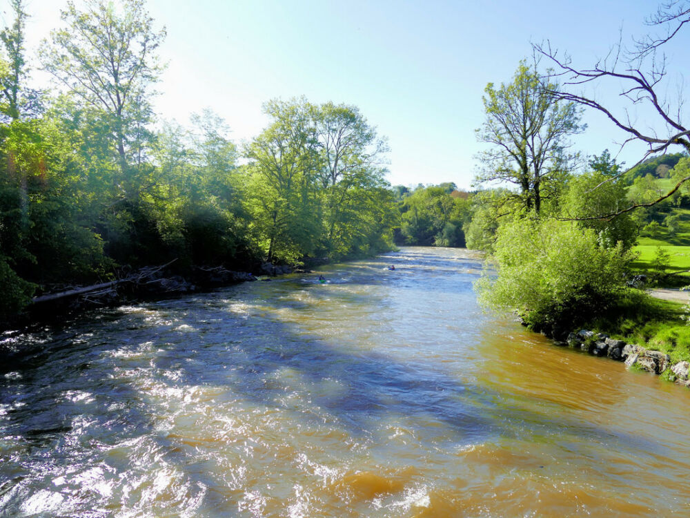 Hängebrücke bei Heggelbach.