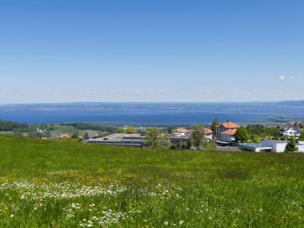 Blick über den Bodensee nach Deutschland.