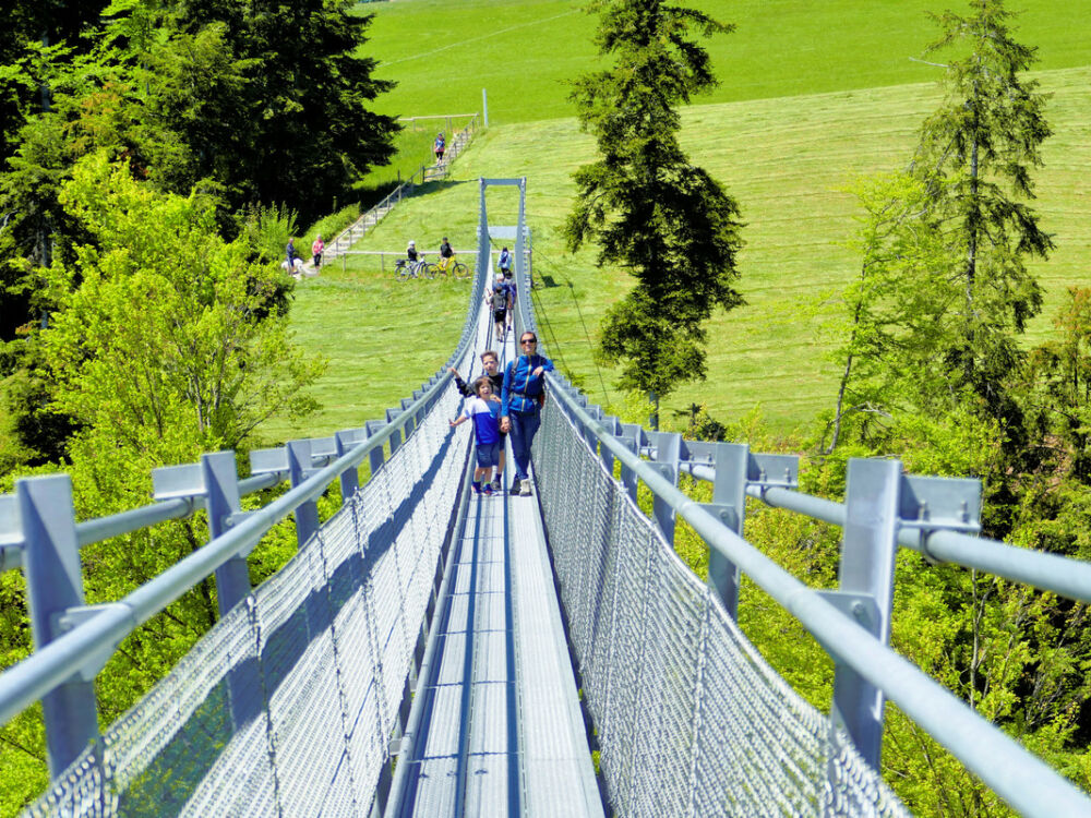 Hängebrücke Grub (AR) - Grub (SG).