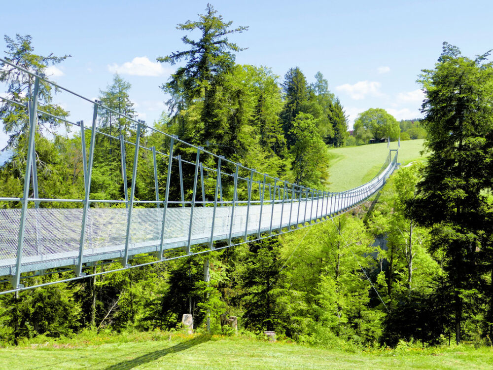 Hängebrücke Grub (AR) - Grub (SG).