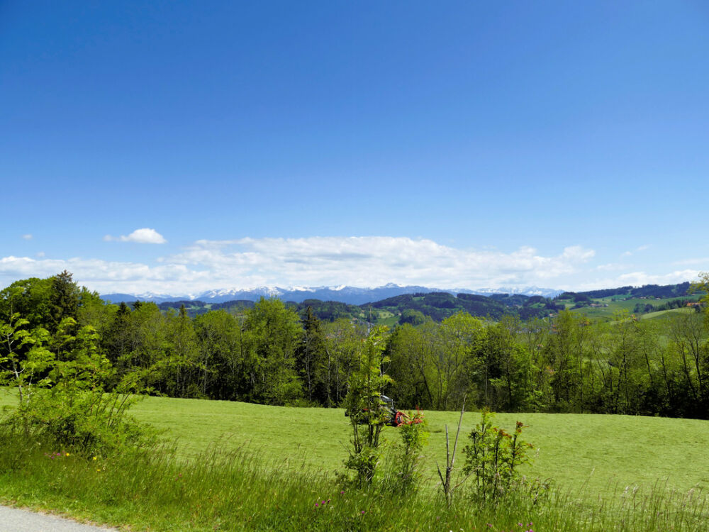 Blick auf die österreichischen Alpen.